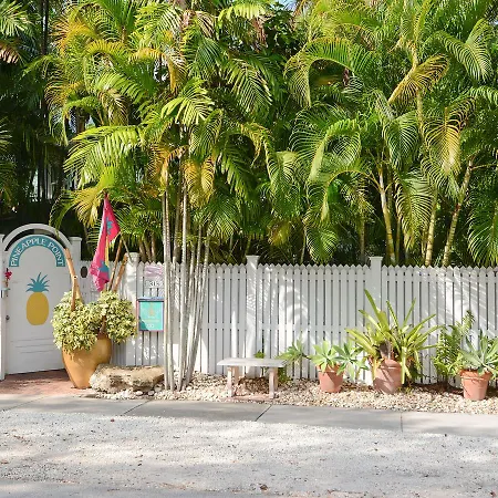 Pineapple Point Guesthouse & Resort - Gay Men'S Resort-2