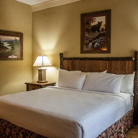 The Appy Lodge-2
