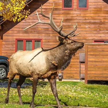 Rams Horn Village Resort-3