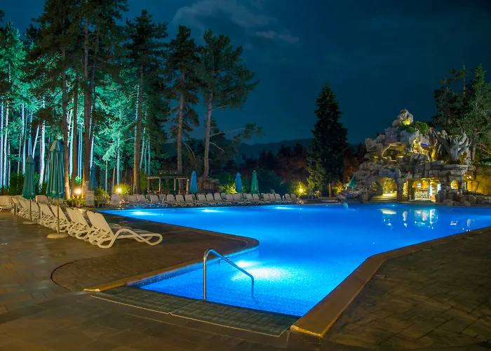 Spa Hotel Dvoretsa Welingrad