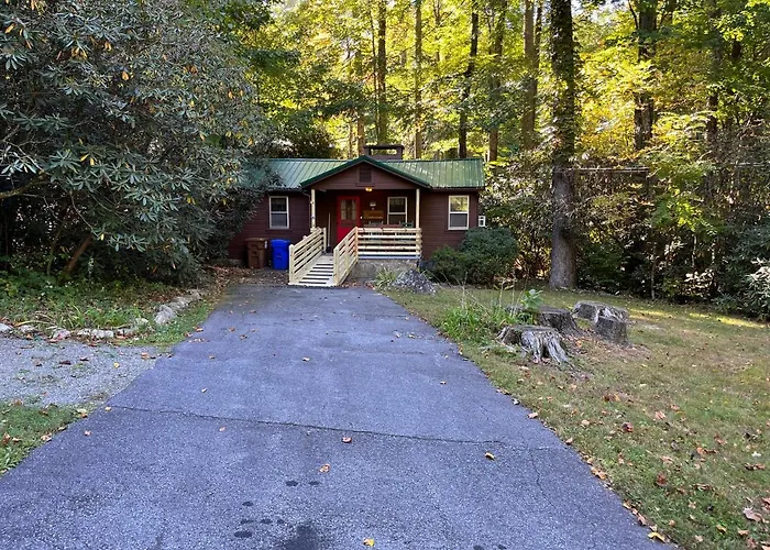 Cozy Cabin Pet Friendly ADA Compatible Maggie Valley