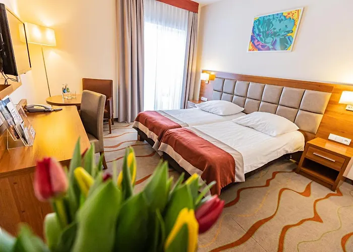 Hotel Olivia Medical Spa Skomielna Czarna