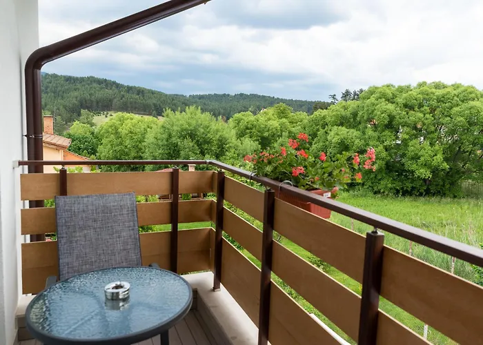Villa Pino Welingrad