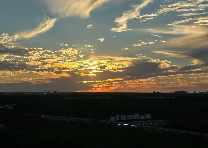 Lion King-Themed Condo Near Disney, Sea World, Universal And Occc With Pool, Spa, Restaurants, Shuttle, Private Balcony, And The Best View Of Fireworks Shows Lake Buena Vista