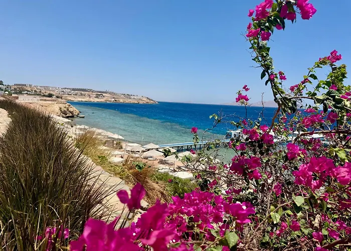 Hotel Trentadue Centoquindici Sharm