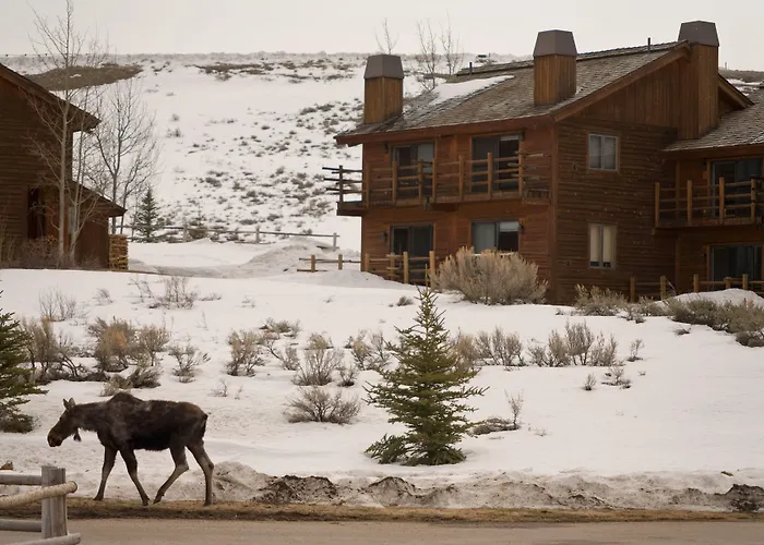 Hotel Spring Creek Ranch Jackson