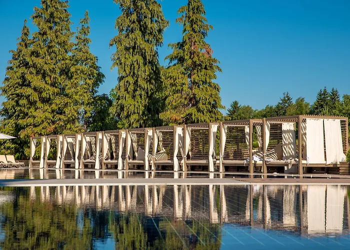 Hotel Arte Spa & Park Welingrad