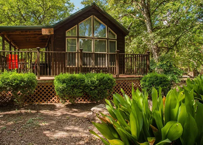 Mendelbaum - Fig Cabin Fredericksburg