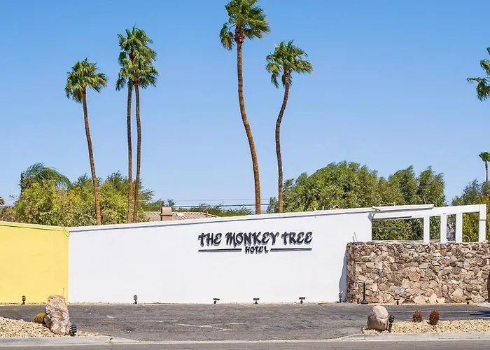 The Monkey Tree Hotel Buyout By Avantstay Entire Hotel Buyout Funky Rooms W Modern Amenities Palm Springs