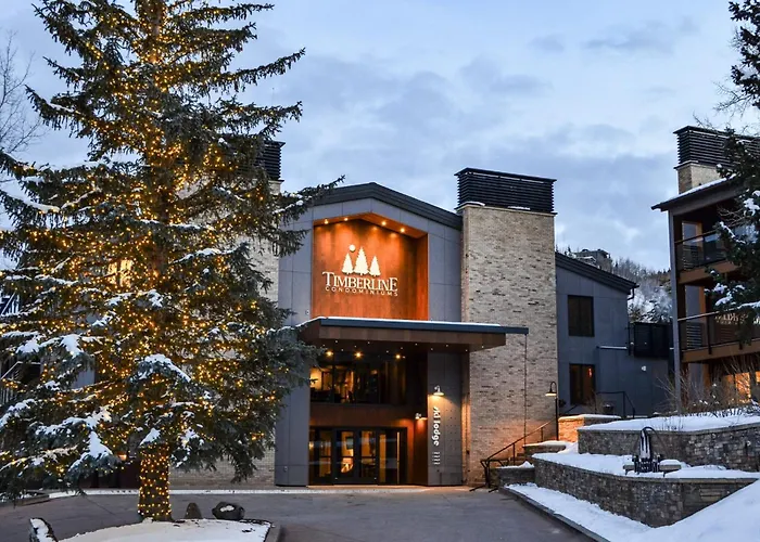 Timberline Condominiums Two Bedroom Deluxe Unit D1D Snowmass Village