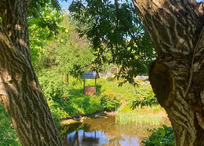 Resort Holiday Natural - Gościniec Zacisze Chmielno