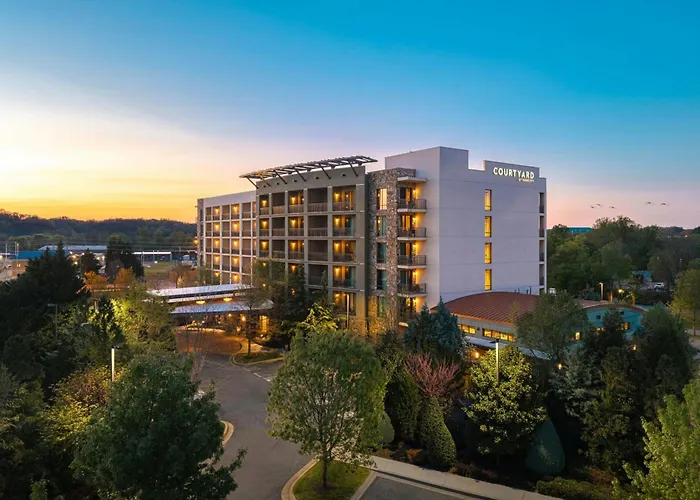 Hotel Courtyard By Marriott Pigeon Forge
