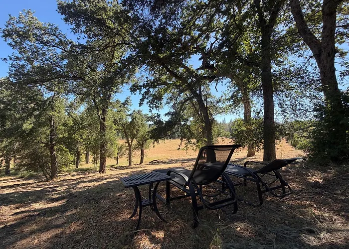Bed and Breakfast Red Tail Ranch Groveland