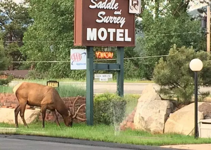 Saddle & Surrey Motel Estes Park
