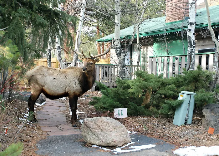 Sunnyside Knoll Resort Estes Park