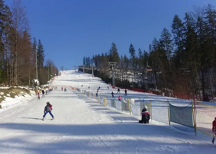Hotel Domlesny Kiczora